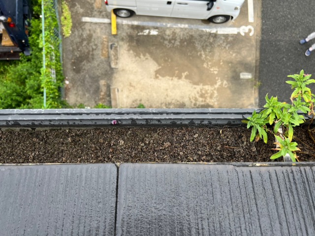 雨樋詰まり